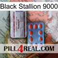 Black Stallion 9000 36